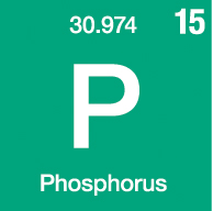 ppcp-periodic-phosphorus-15